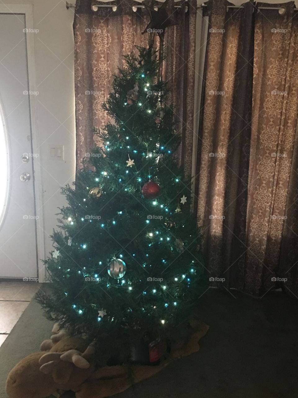 Got the tree home and decorated!