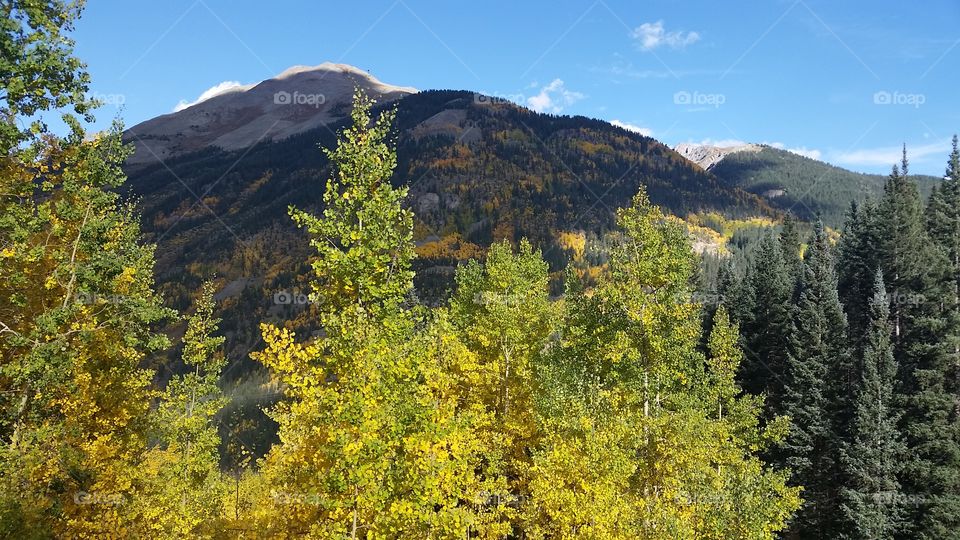 Wood, No Person, Outdoors, Nature, Fall