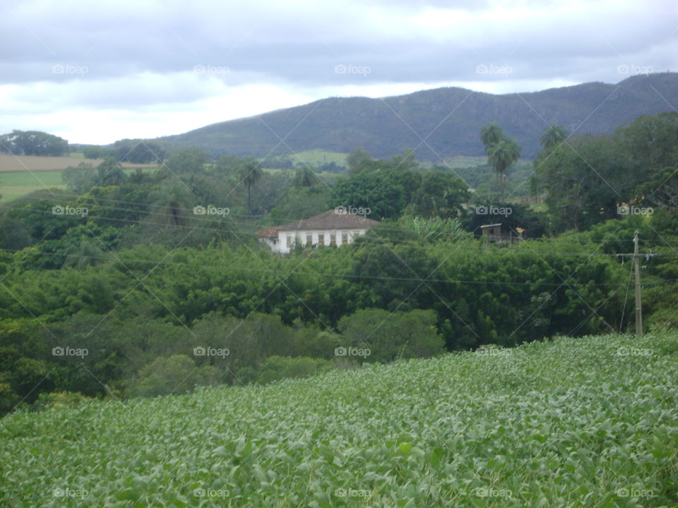 fazenda