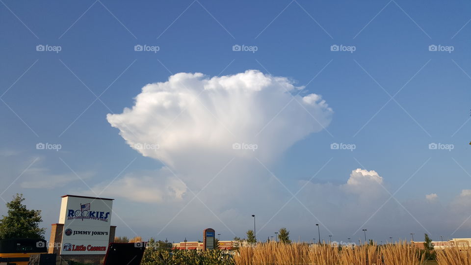 Mushroom Cloud