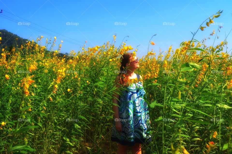 Girl in the yellow field . Girl in the yellow field