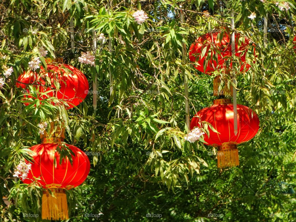 Red Chinese Lanterns
