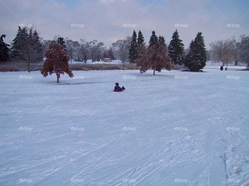 Sledding 
