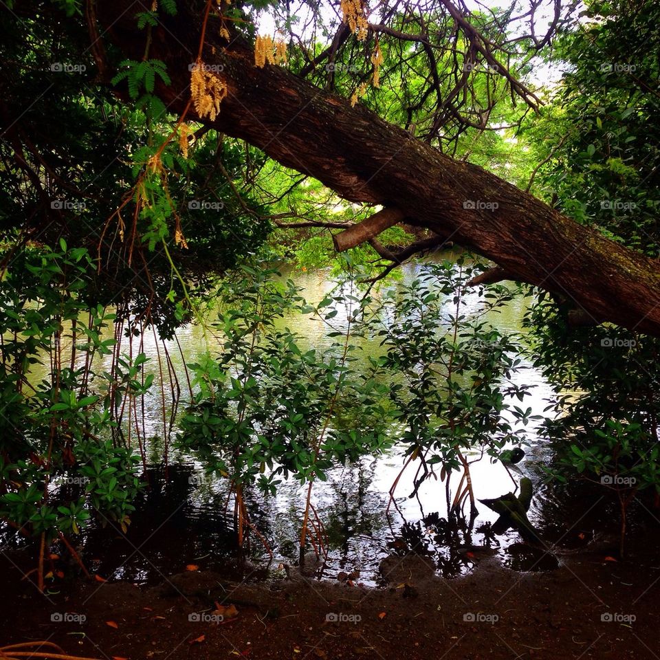 The Beautiful Scenery