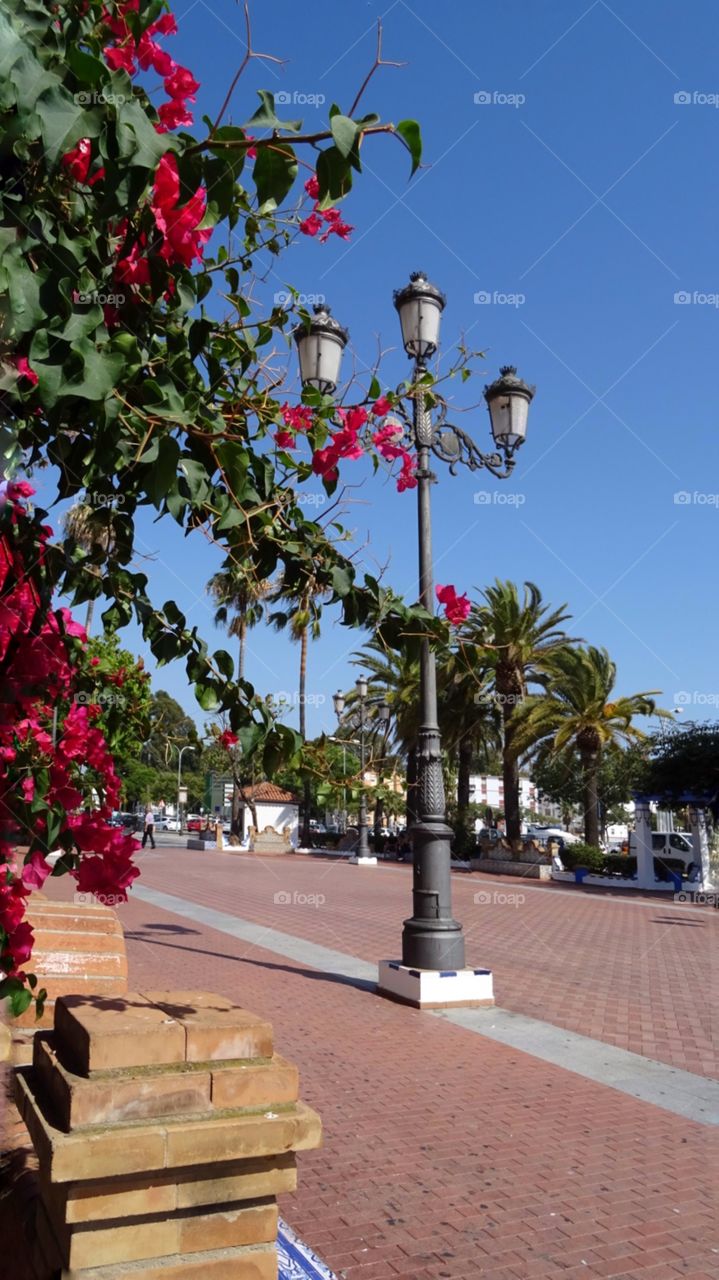 walking in the square