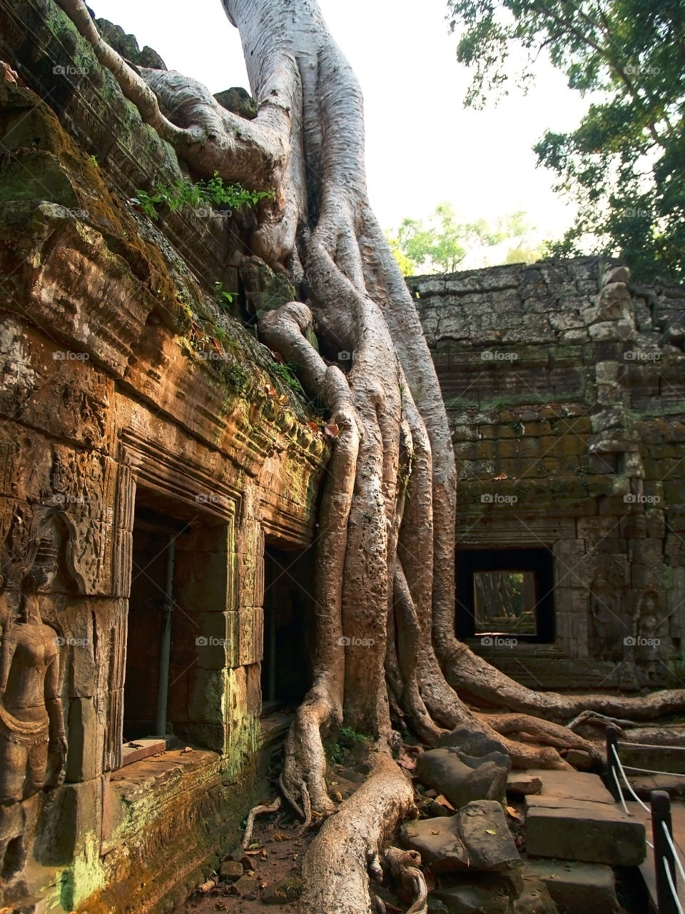 Tree roots in Ta Prohm temple at Angkor
