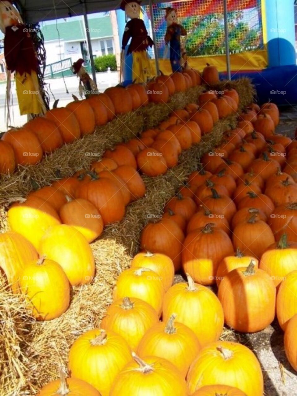 Pumpkins and Straw 