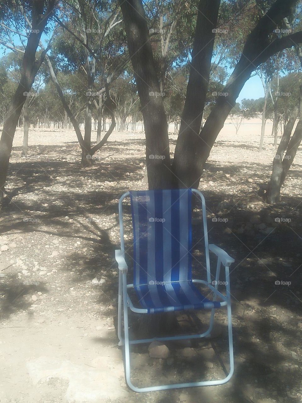 Alone chair in forest