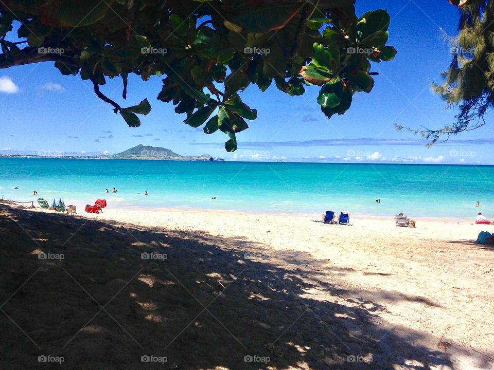 A picture taken from under a large shady tree on a beautiful beach in Hawaii 