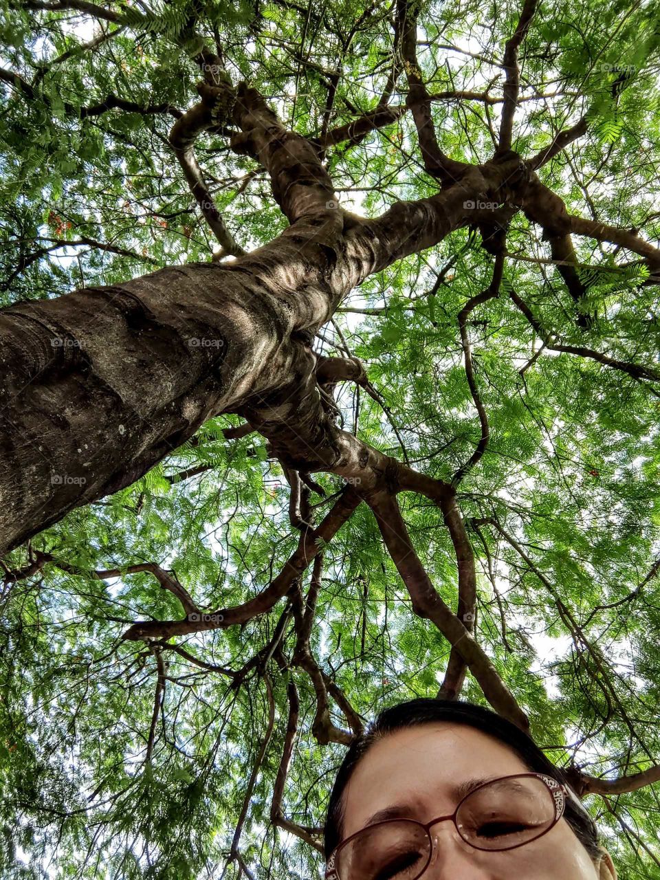 It's summertime!: you can sit down park seat in Taichung City Green parkway, enjoy breez, cool fresh air and take a nap under the shade of green big tree.