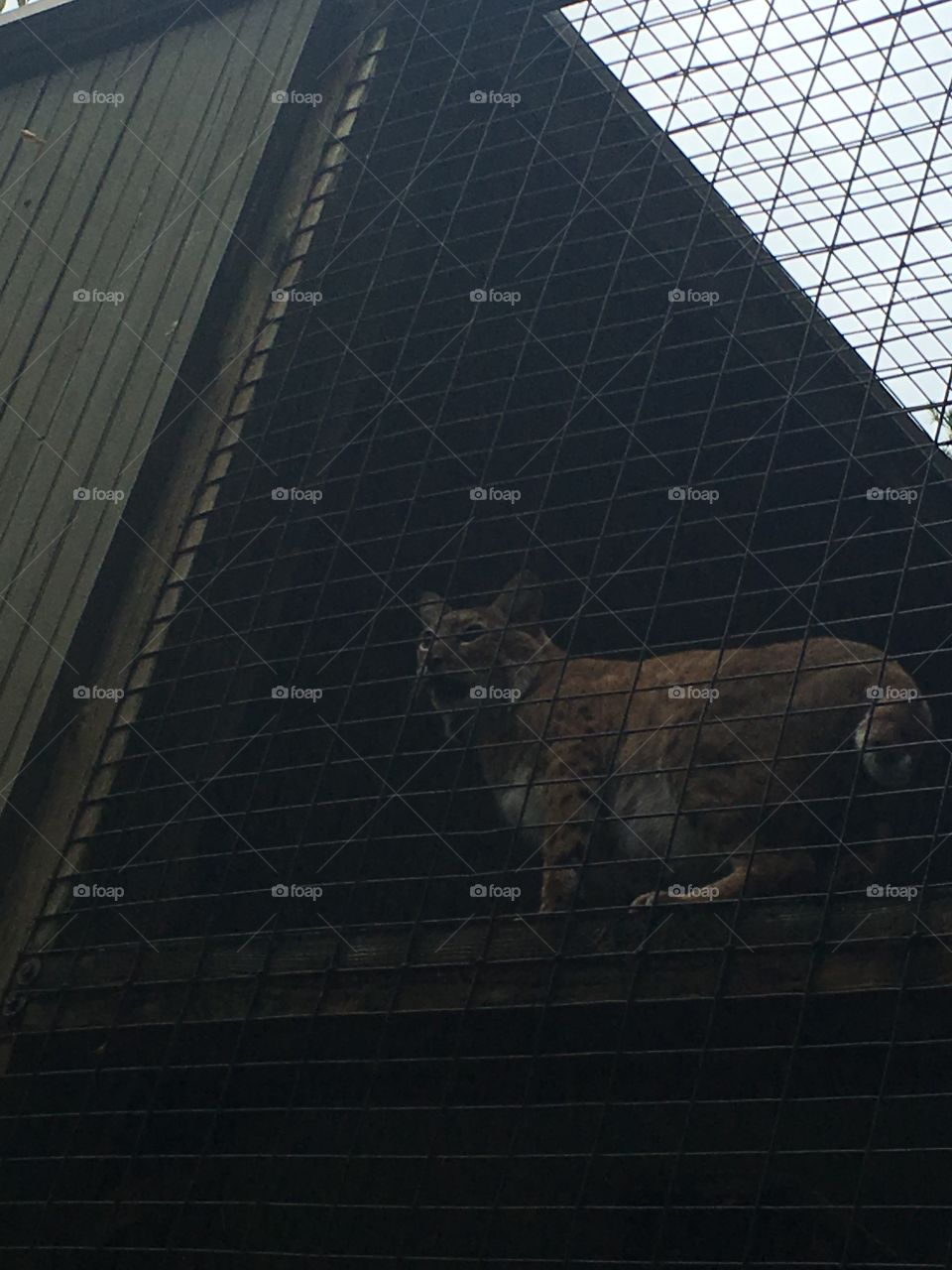 No Person, Building, Window, Architecture, City