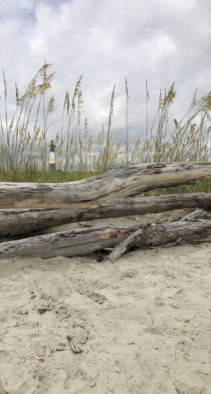The historic lighthouse sits near the North Beach on Tybee Island. On the historical register, the lighthouse watches over the beach elements in this view, including iconic driftwood, dunes, sand grasses, and the ever present sand itself.