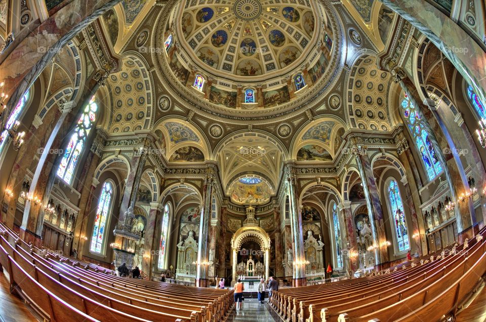 My point of view through a fisheye lens 