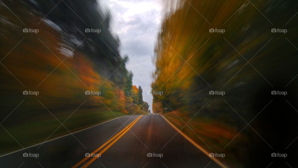 Trees whiz past as the viewer travels along the road