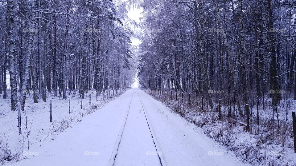 winter rail