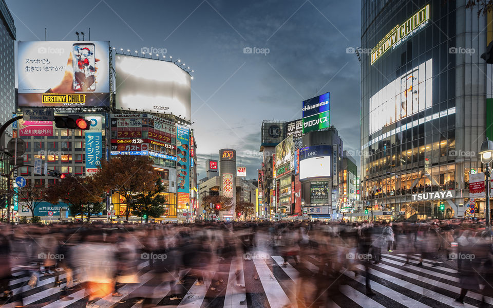 Human traffic at Shibuya crossing