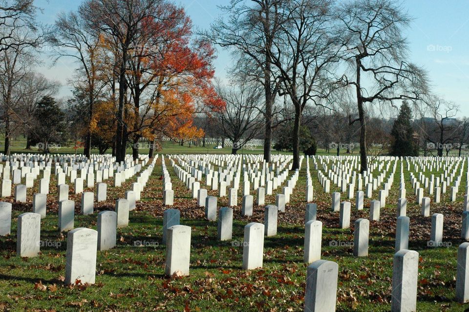 Arlington Cemetery Symmetry
