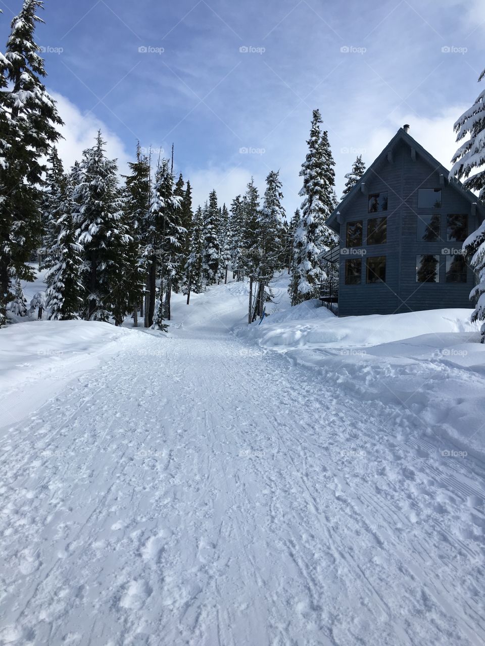 Scenic view of winter landscape