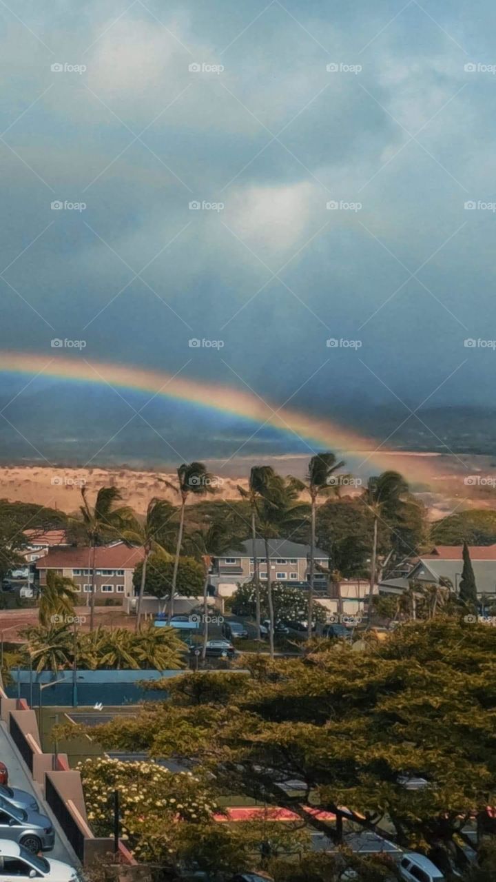 Hawaii rainbow 
