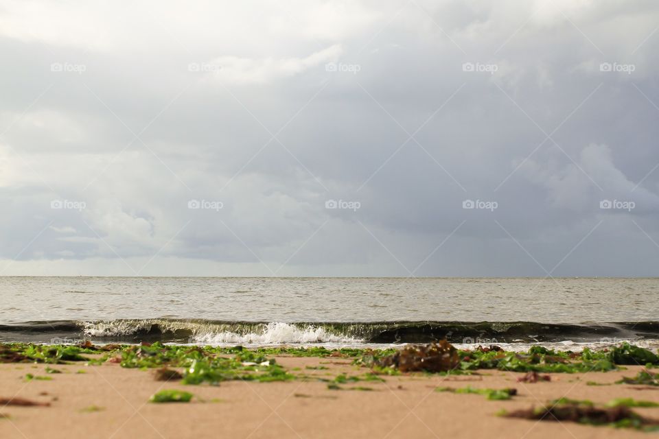 Seaweed littering the beach 