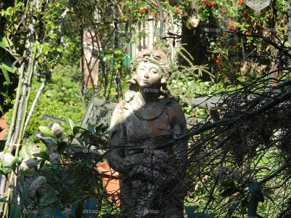 Standing guard in the courtyard awaiting a chance to soak in a little vitamin D.  