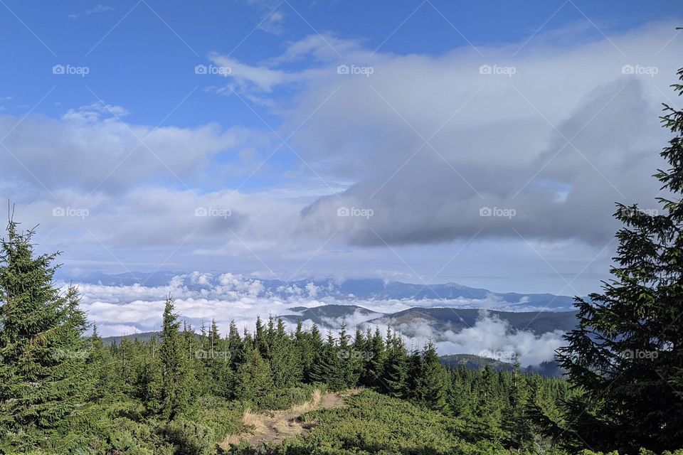 Carpathians, Ukraine.