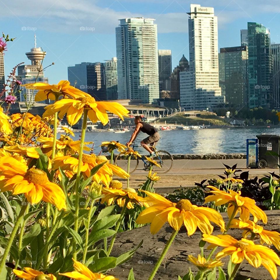 City ​​view from the lake