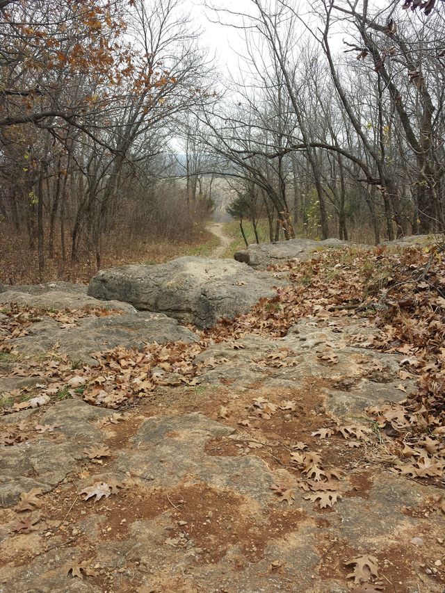 exploring nature