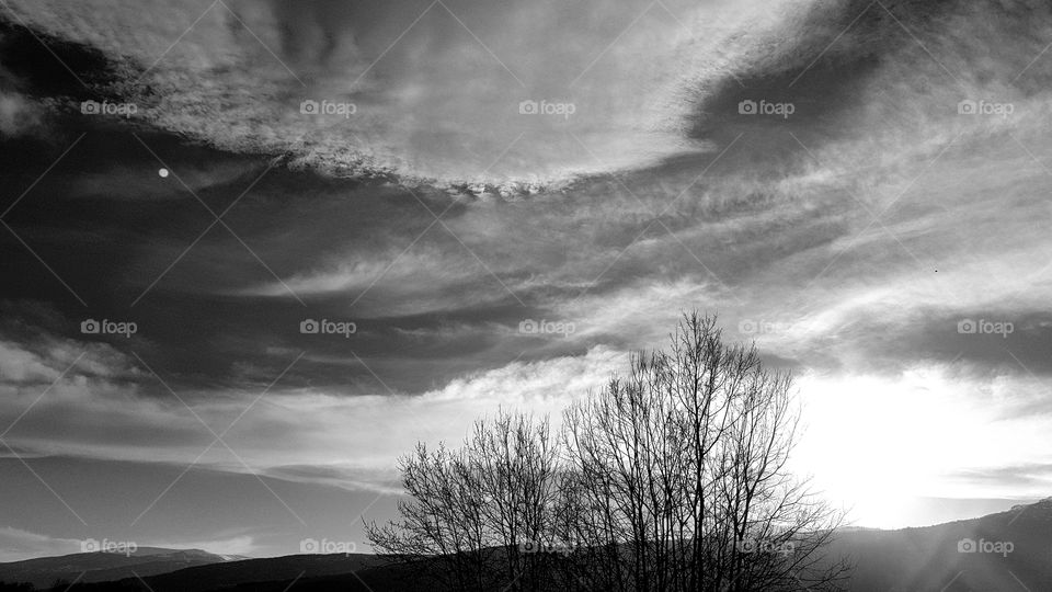 monochrome clouds