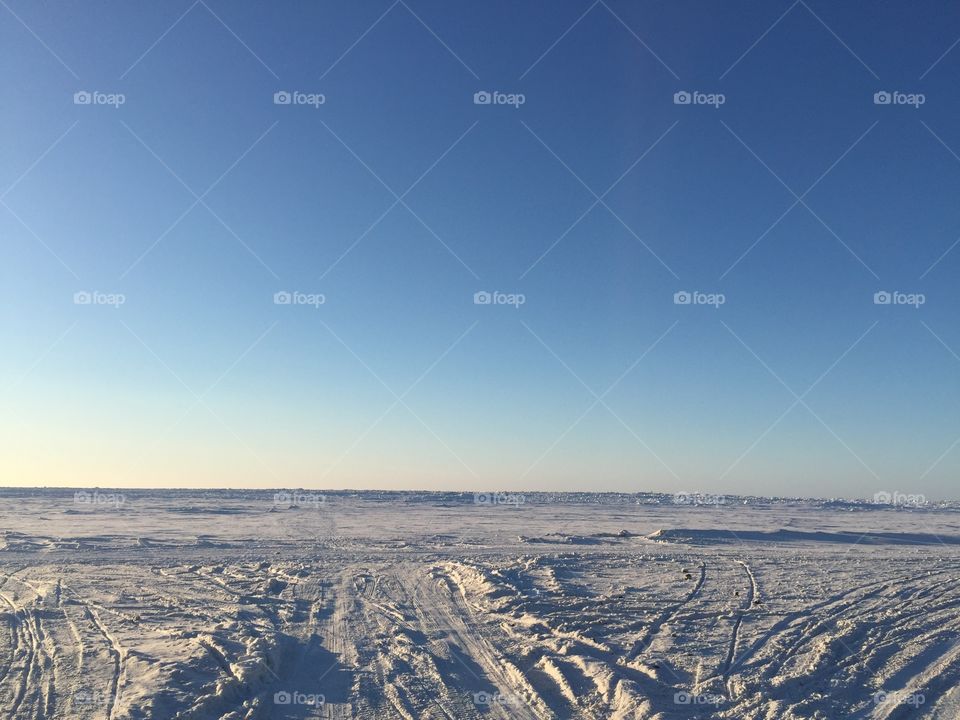 Arctic Landscape 