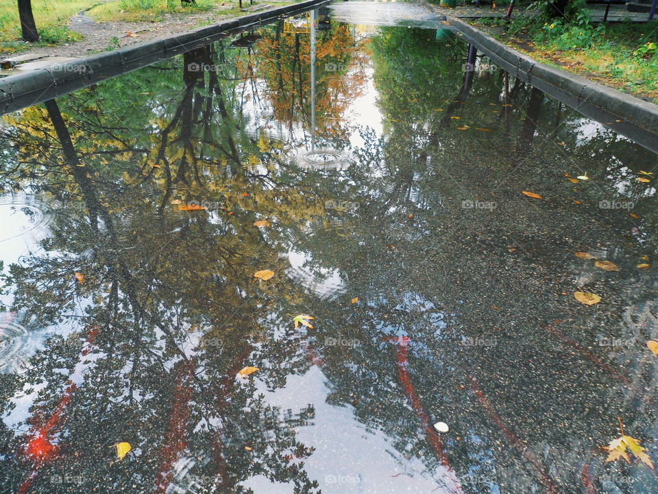 rain-mirror autumn in the city of Kiev