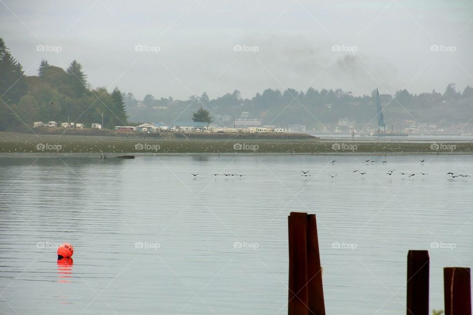 Water, Lake, No Person, River, Outdoors