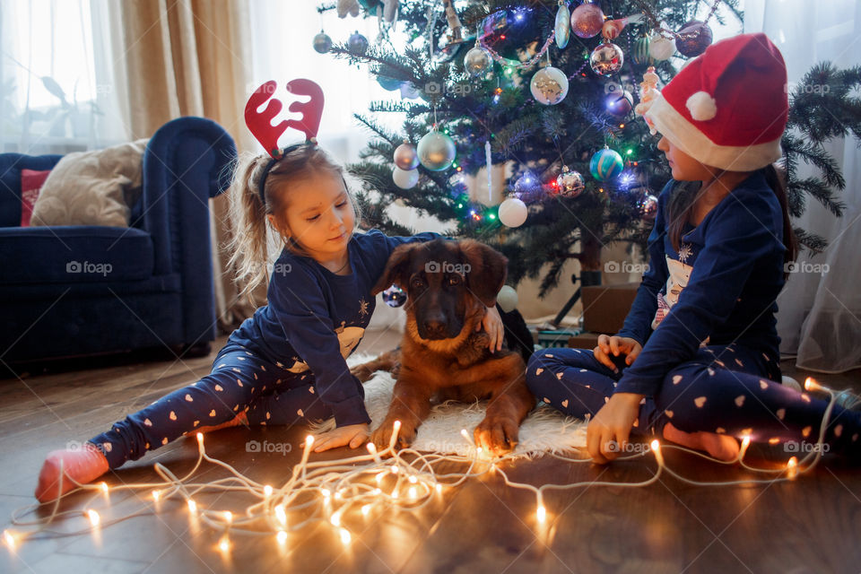 Little sisters with the puppy near Christmas tree