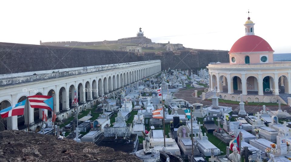 Cemetery in the city