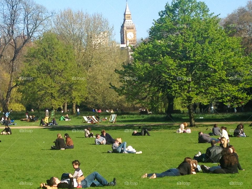 Spring. St James park, London