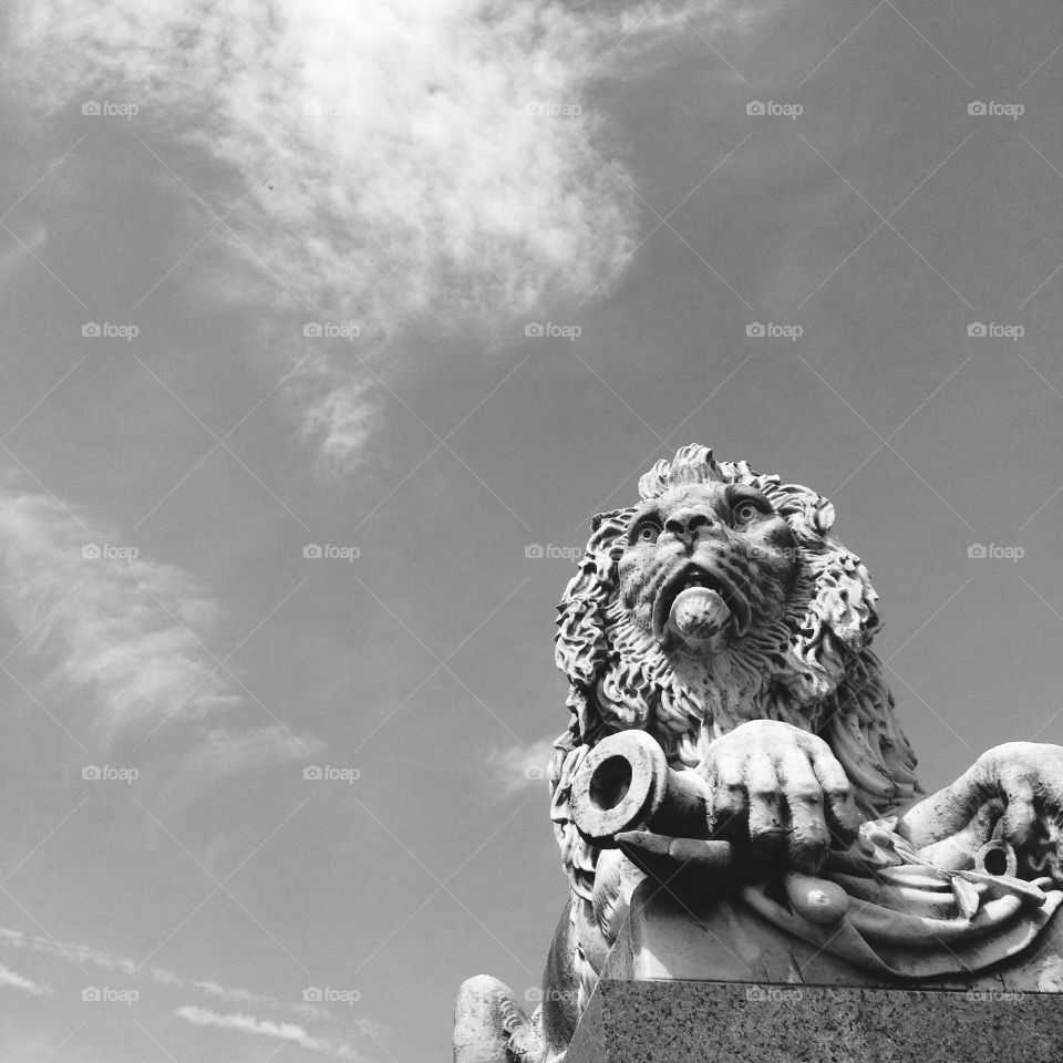 The Lion that Stood Still. Taken at Laurel Hill Cemetery.