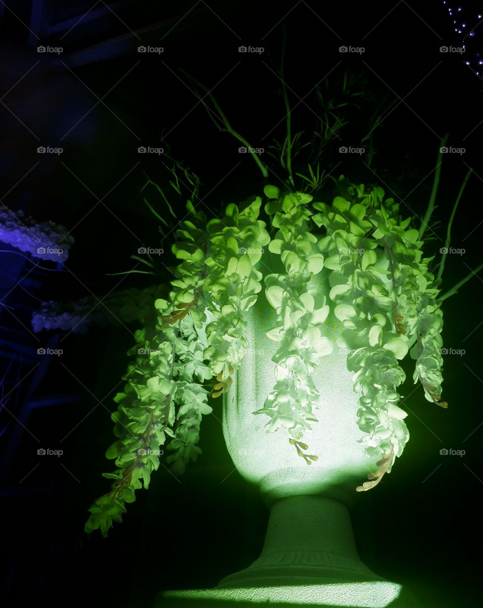 flower bunch in vase in green n purple back