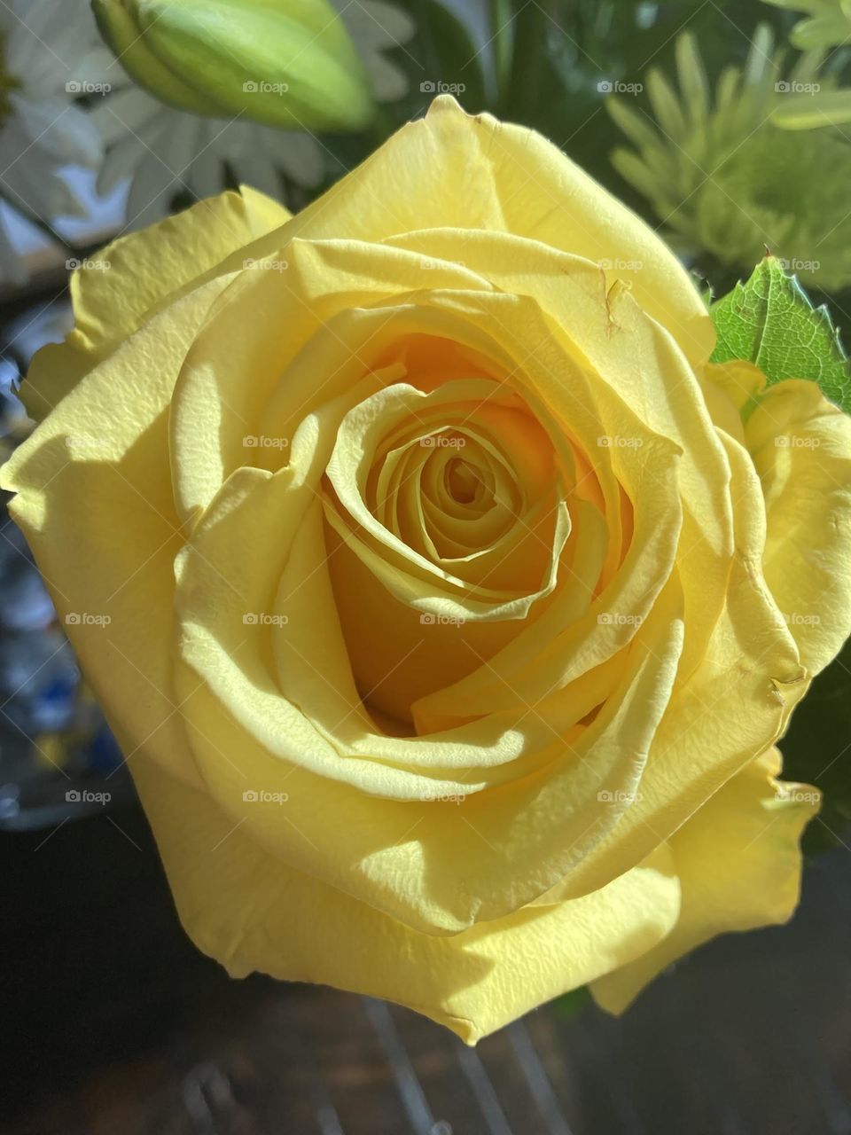 Yellow road in a bouquet from my husband