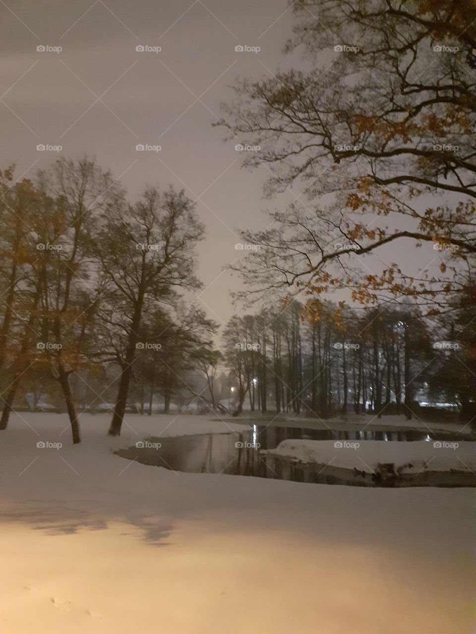 Парк Аркадия