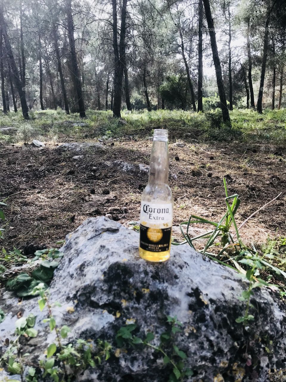 Always I have a time for one beer in the nature.