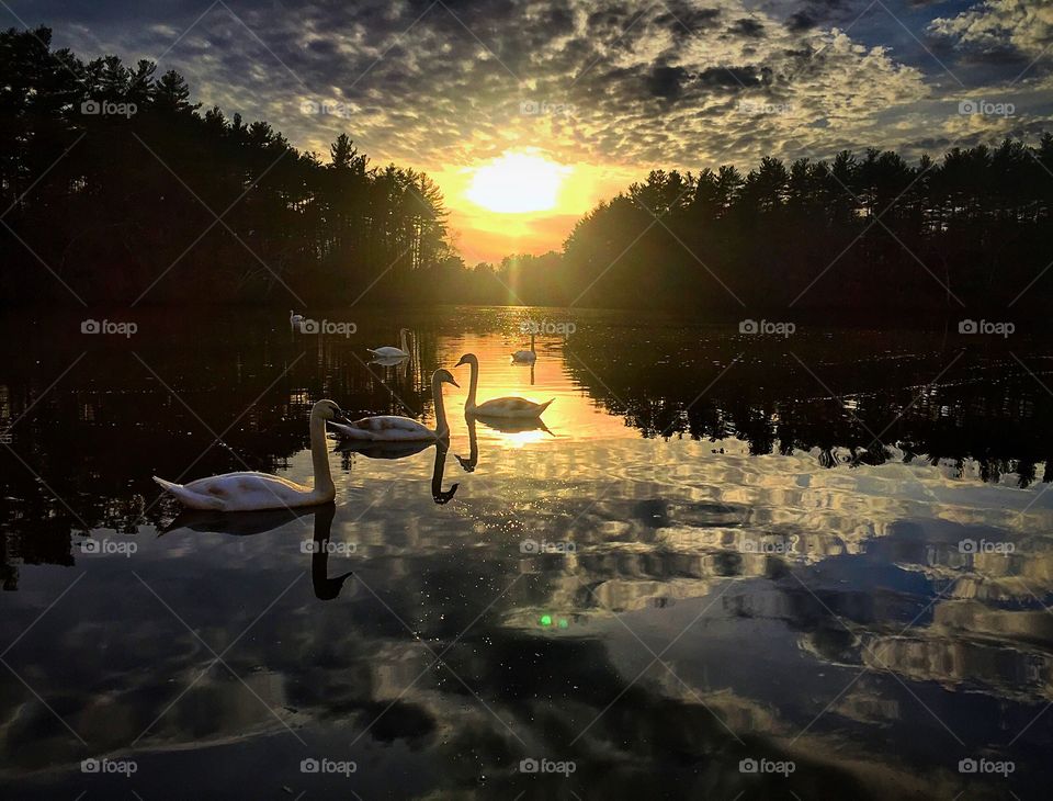 View of sunset over the lake