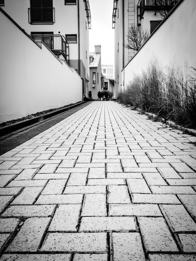 On the walk...