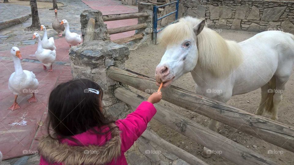 Hello cute hair! stylish pony 😁🐴👍