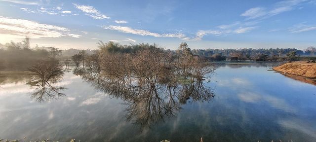 nature