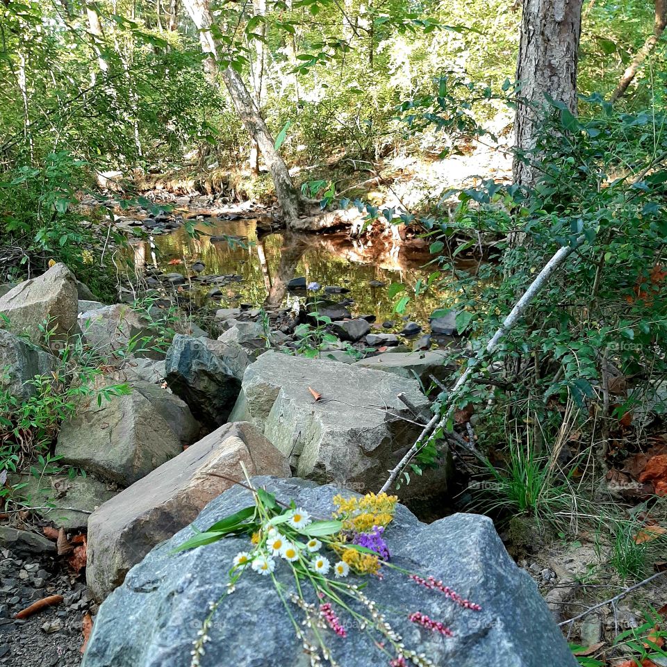 Nature. Mini wildflowers bouquet on the rock.