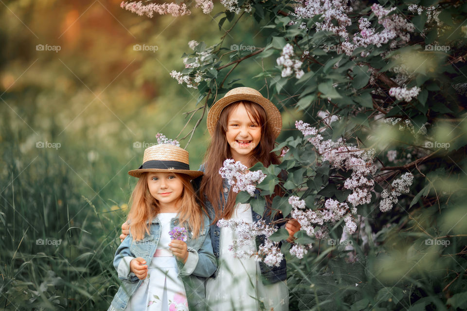 Little sisters in a hat near blossom lilac tree at sunset 