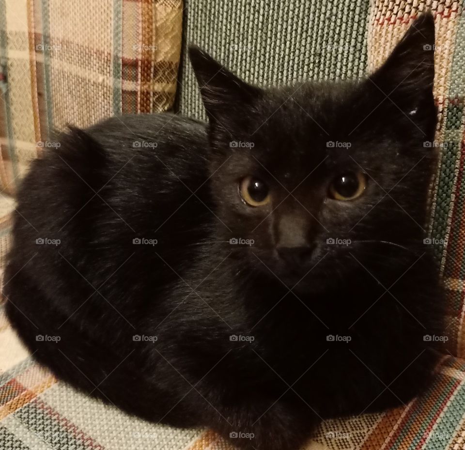 My little sweet sunshine