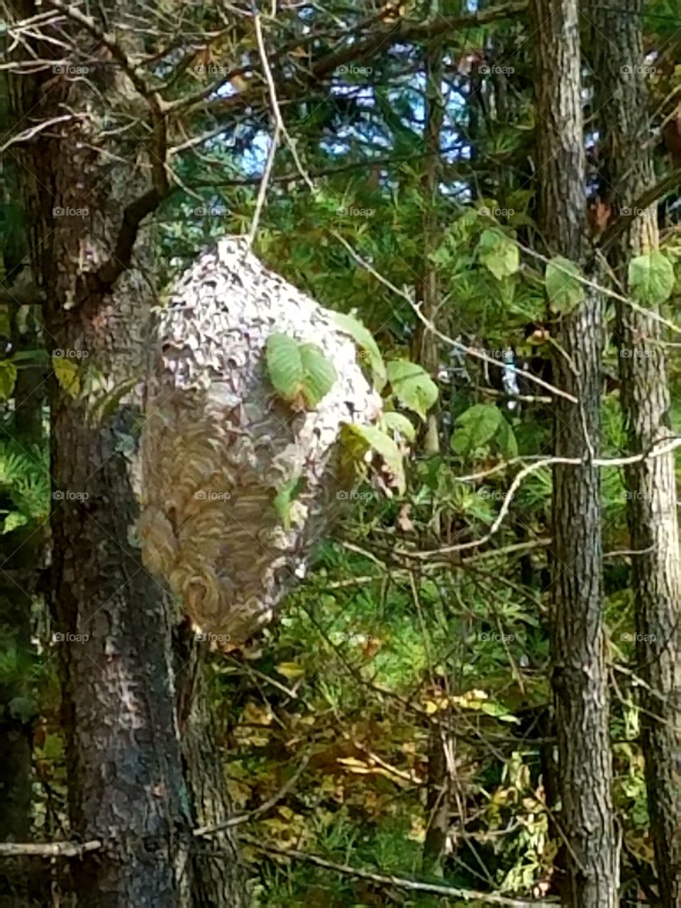 Driving the Back Roads and enjoying everything around us