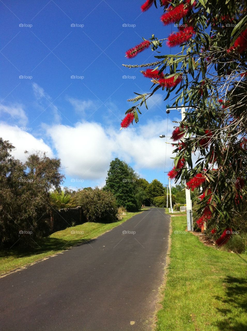 beautiful Tasmania 