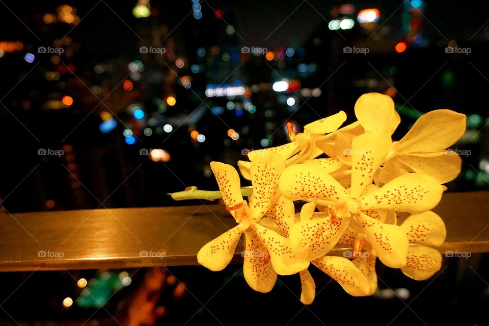 Yellow Orchid in the city